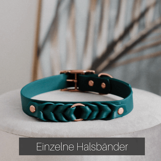 Halsband-Hund