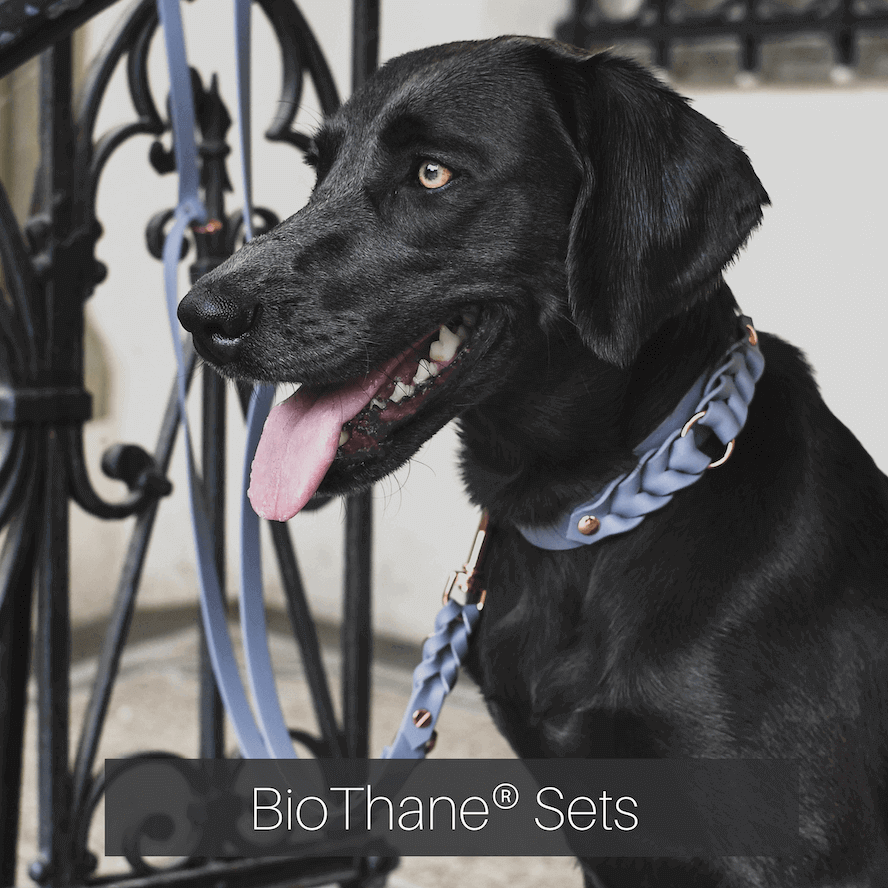 biothane-leine-halsband-set