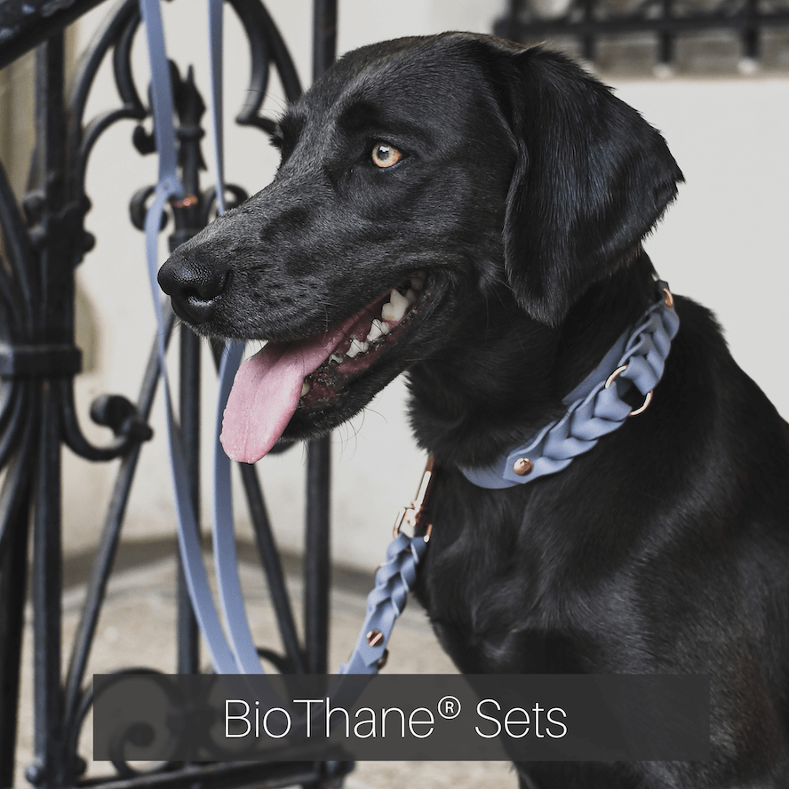 biothane-leine-halsband-set