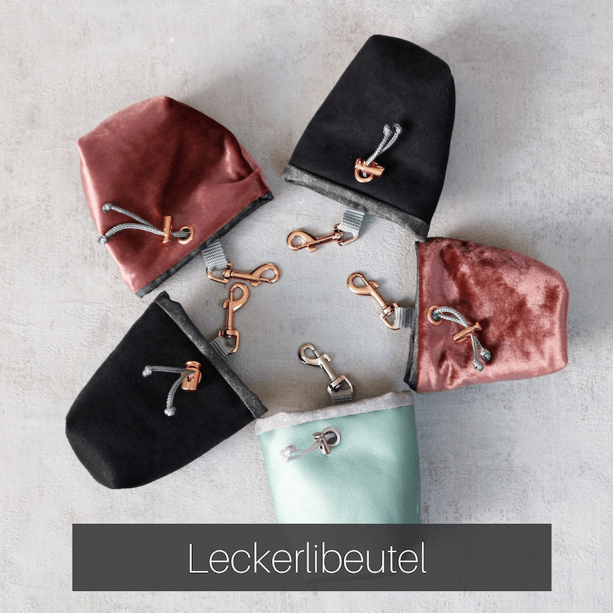 Leckerlibeutel-für-Hunde