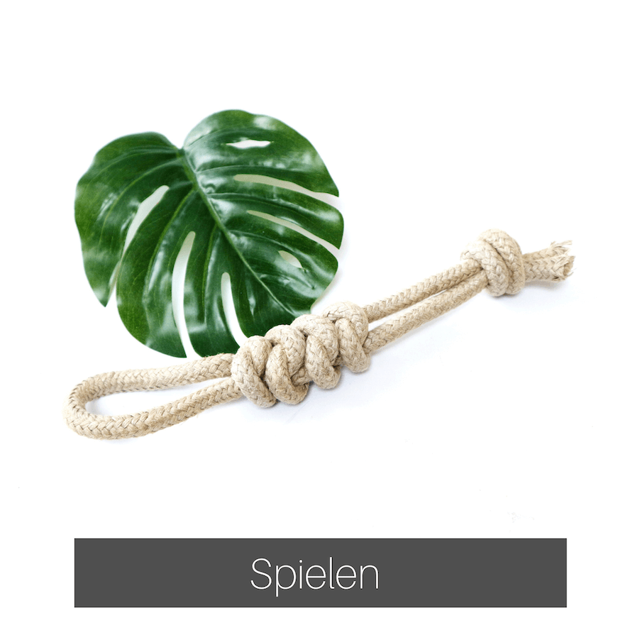 Hundespielzeug-nachhaltig
