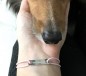 Preview: Armband *HUNDEMENSCH* Silber