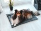 Preview: Hundedecke *ETHNO*