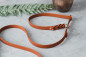 Preview: BioThane® Retrieverleine *DESIGN YOUR OWN*