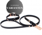 Preview: Hundeleine und Halsband Set in schwarz aus Biothane
