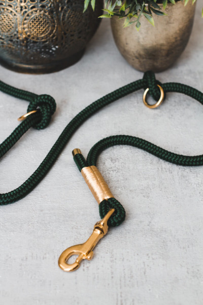 graue Leine und Halsband für Hunde