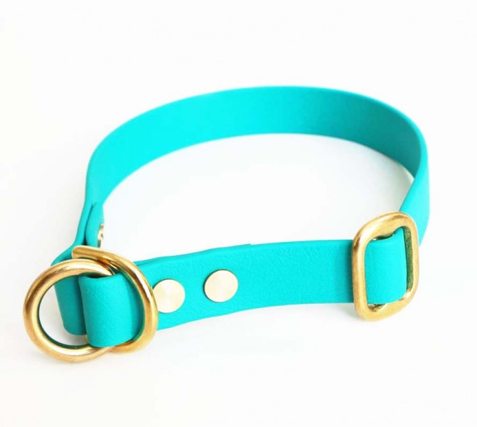 BioThane® Zugstopp Halsband