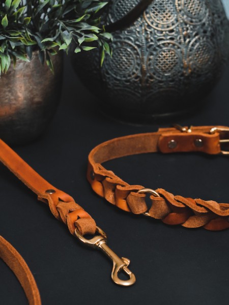 geflochtene Leine und Halsband aus Leder in cognac