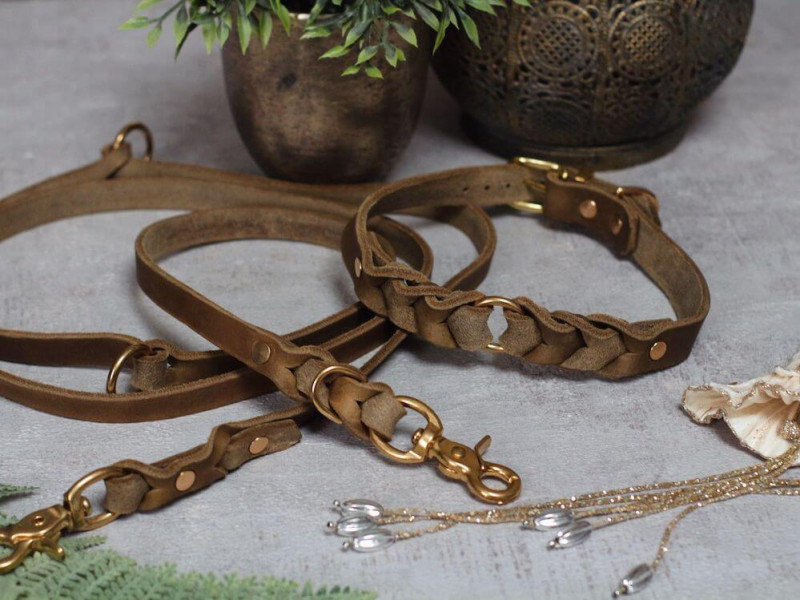 Leder Leine & Halsband OLIVE