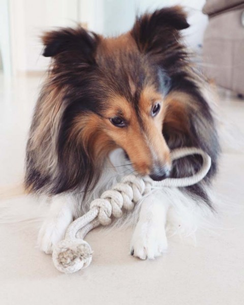 Hundespielzeug aus Naturhanf