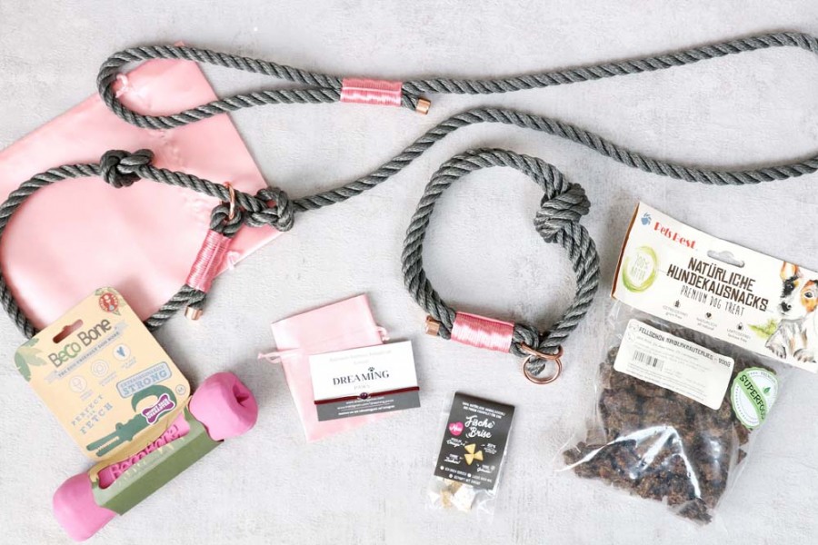 surprisebox for dogs
