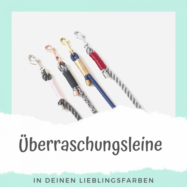 Überraschungsleine