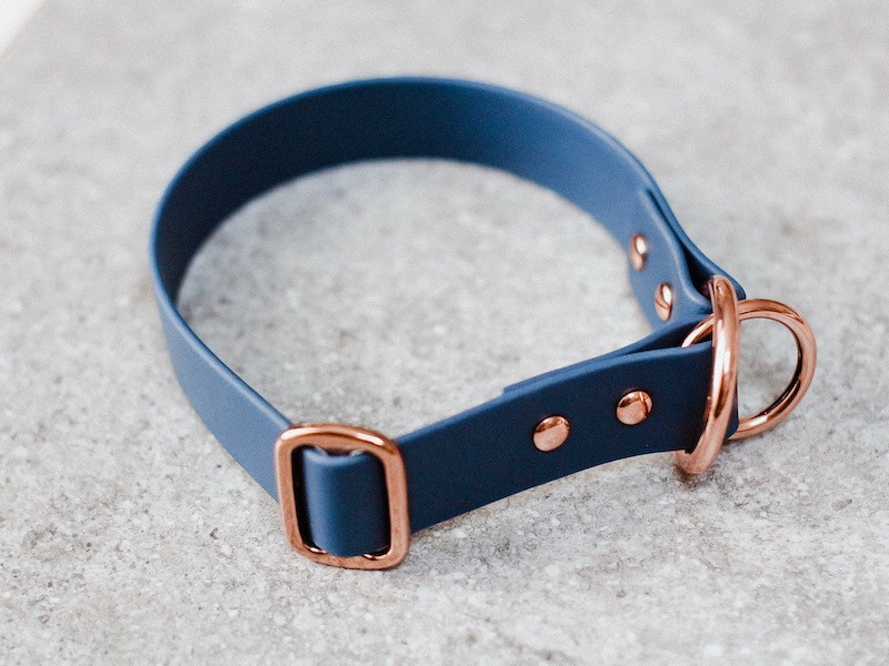 BioThane® Zugstopp Halsband