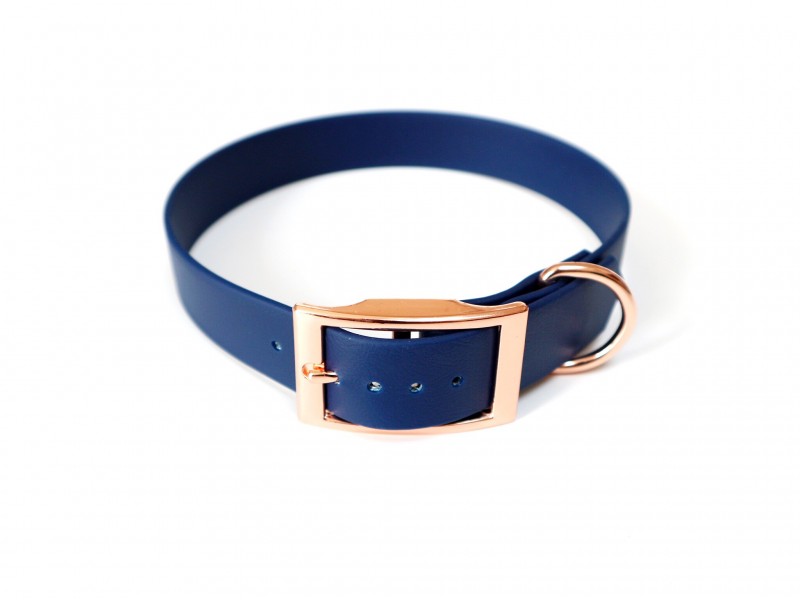 schwarzes Hundehalsband