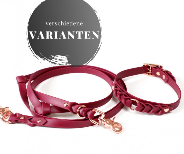 BioThane® Leine oder Set *PASSION*