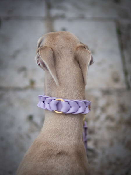 BioThane® Leine oder Set *LAVENDAR*