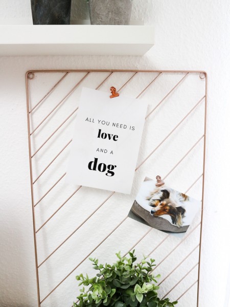 Poster *All you need is love and a dog*