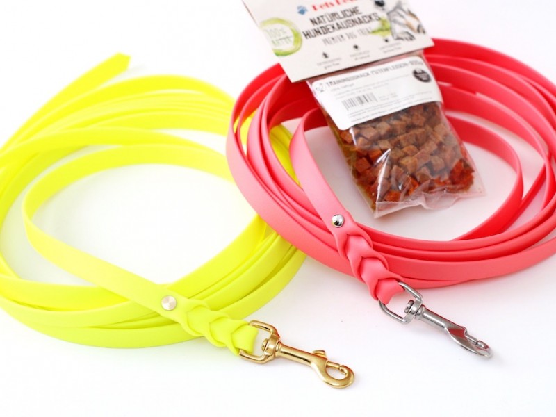 Schleppleine *ALL COLORS* mit Leckerlies