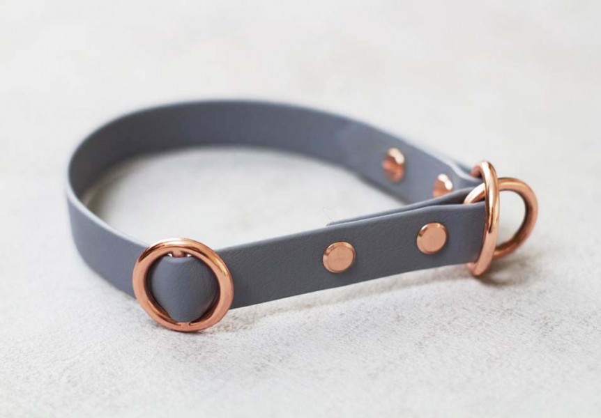 BioThane® Zugstopp Halsband
