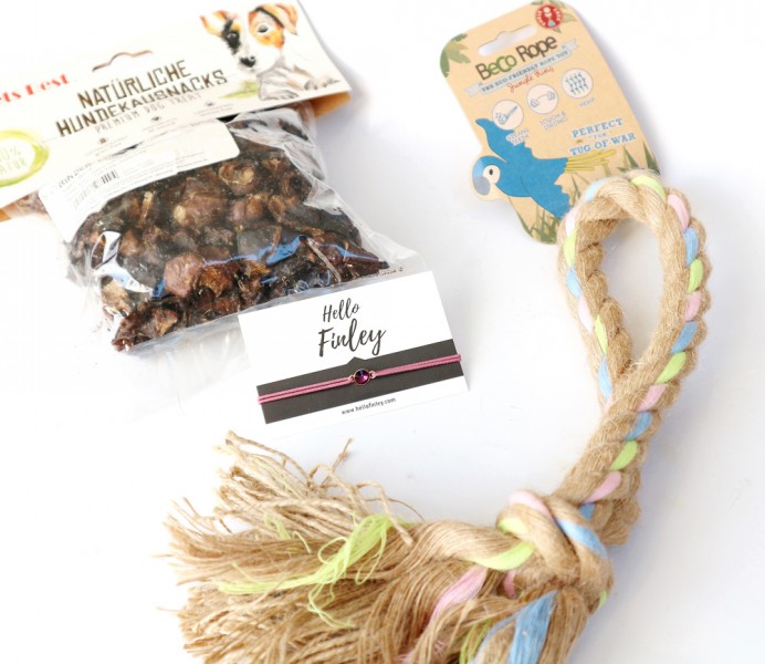 Überraschungsbox für Hund &amp; Mensch Stylisches Hundezubehör